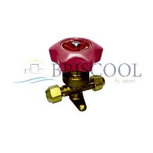 BRİSCOOL GAZ VANASI REKORLU 10MM (3/8)